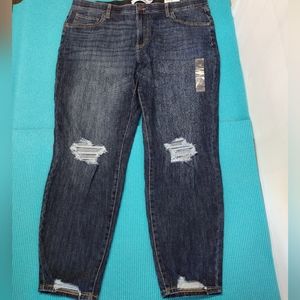 NWT Sonoma Cotati Women's Skinny All About Comfort Jeans Ripped 20W